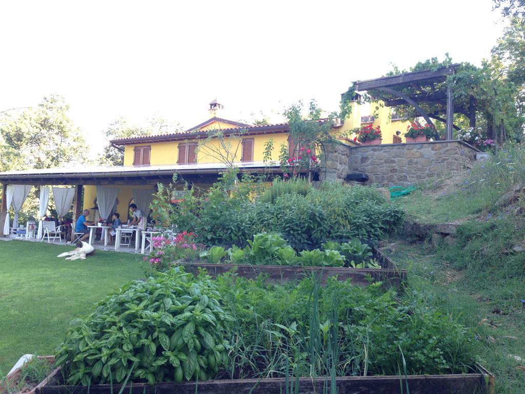 Agriturismo Borgo Nuovo Di Mulinelli Arezzo Exterior photo